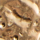 Colour Gold selected