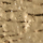 Couleur Or sélectionnée