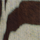 Colour Brown selected