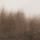 Farbe Braun