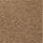 Medium Brown
