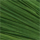 Couleur Vert pastel