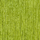 Limette