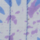 Colour Blue selected