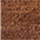 Colour Brown selected
