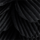 Colour Black selected