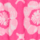 Colour Pink selected