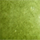 Colour Pastel Green