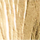Color Oro seleccionado
