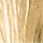 Couleur Or sélectionnée