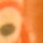 Color Burnt Orange selected