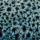 Colour Indigo Blue selected