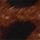 Colour Black selected