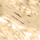 Colour Gold selected