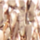 Colour Gold selected