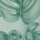 Color Green selected