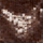 Colour Brown selected