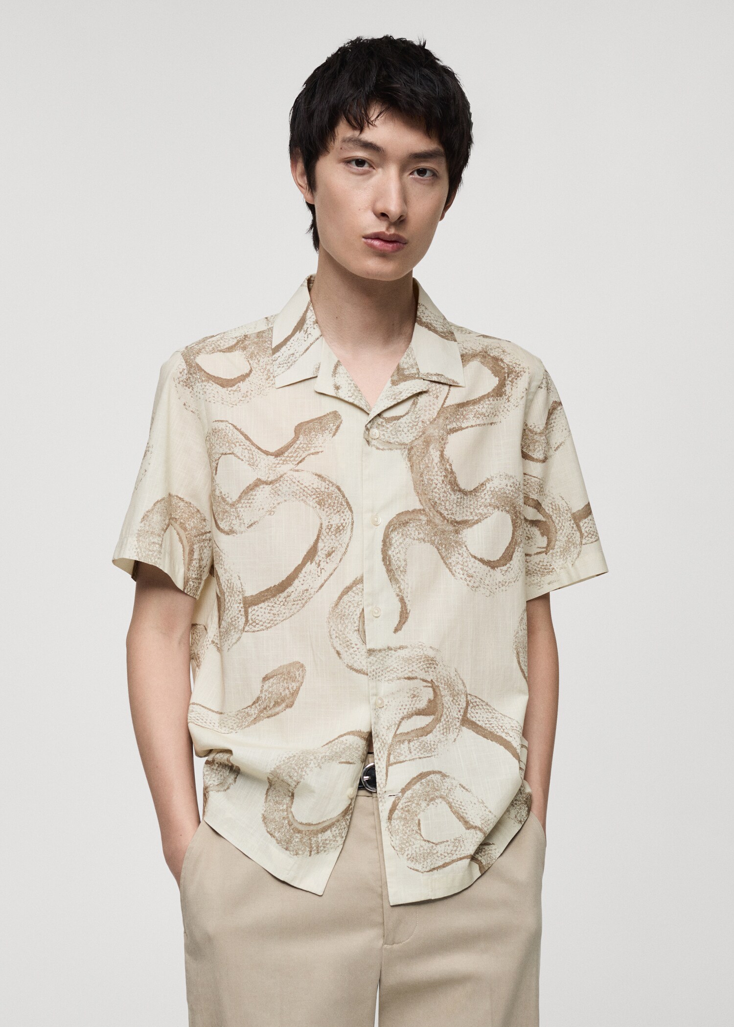 100% cotton regular-fit printed shirt - Medium plane