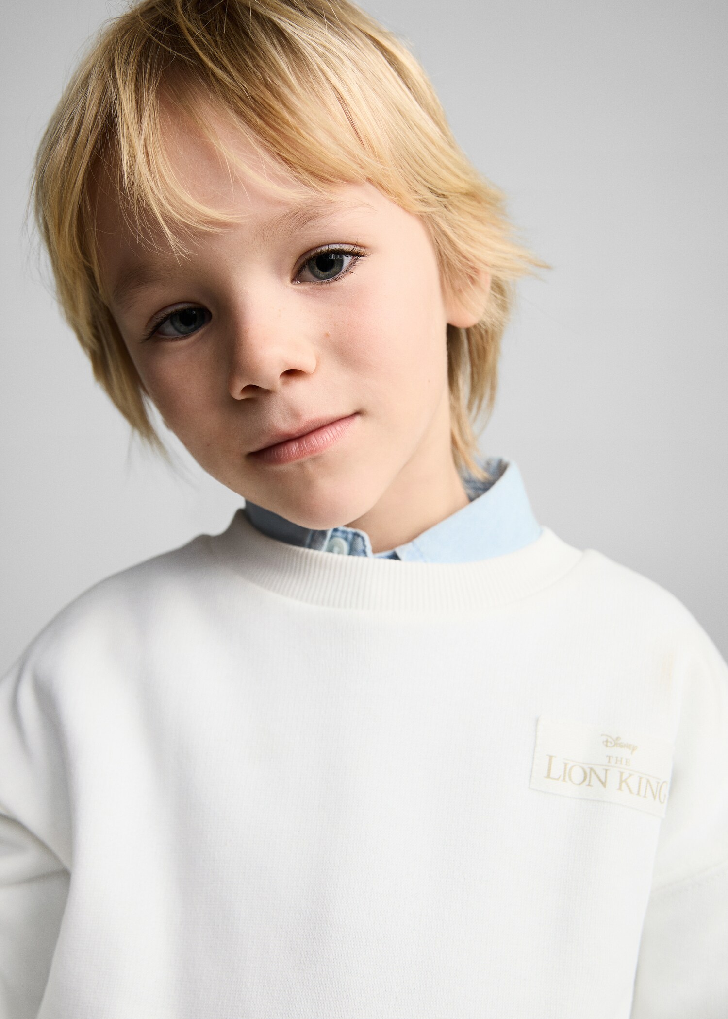 Lion King sweatshirt - Details of the article 1