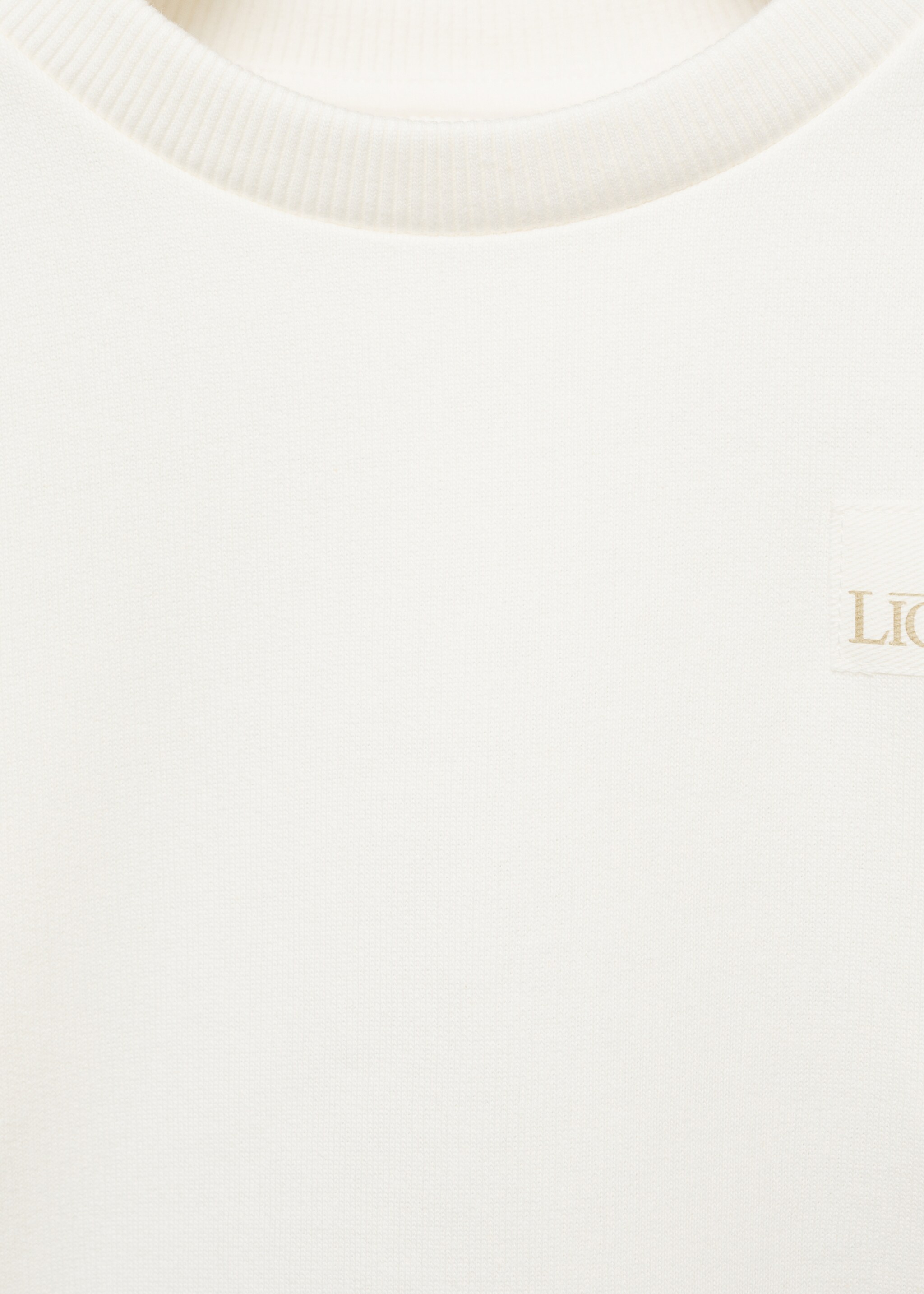 Lion King sweatshirt - Details of the article 8