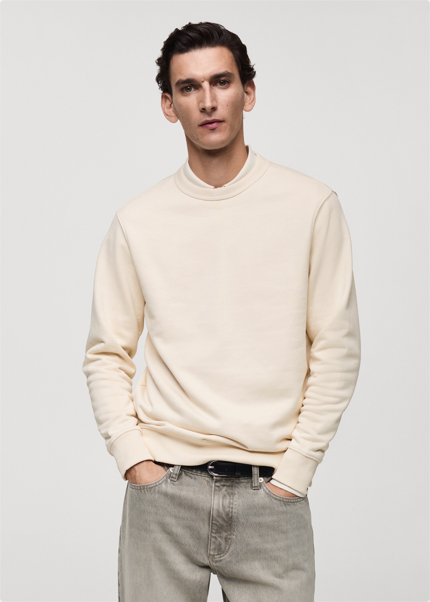 Regular-fit cotton sweatshirt - Medium plane