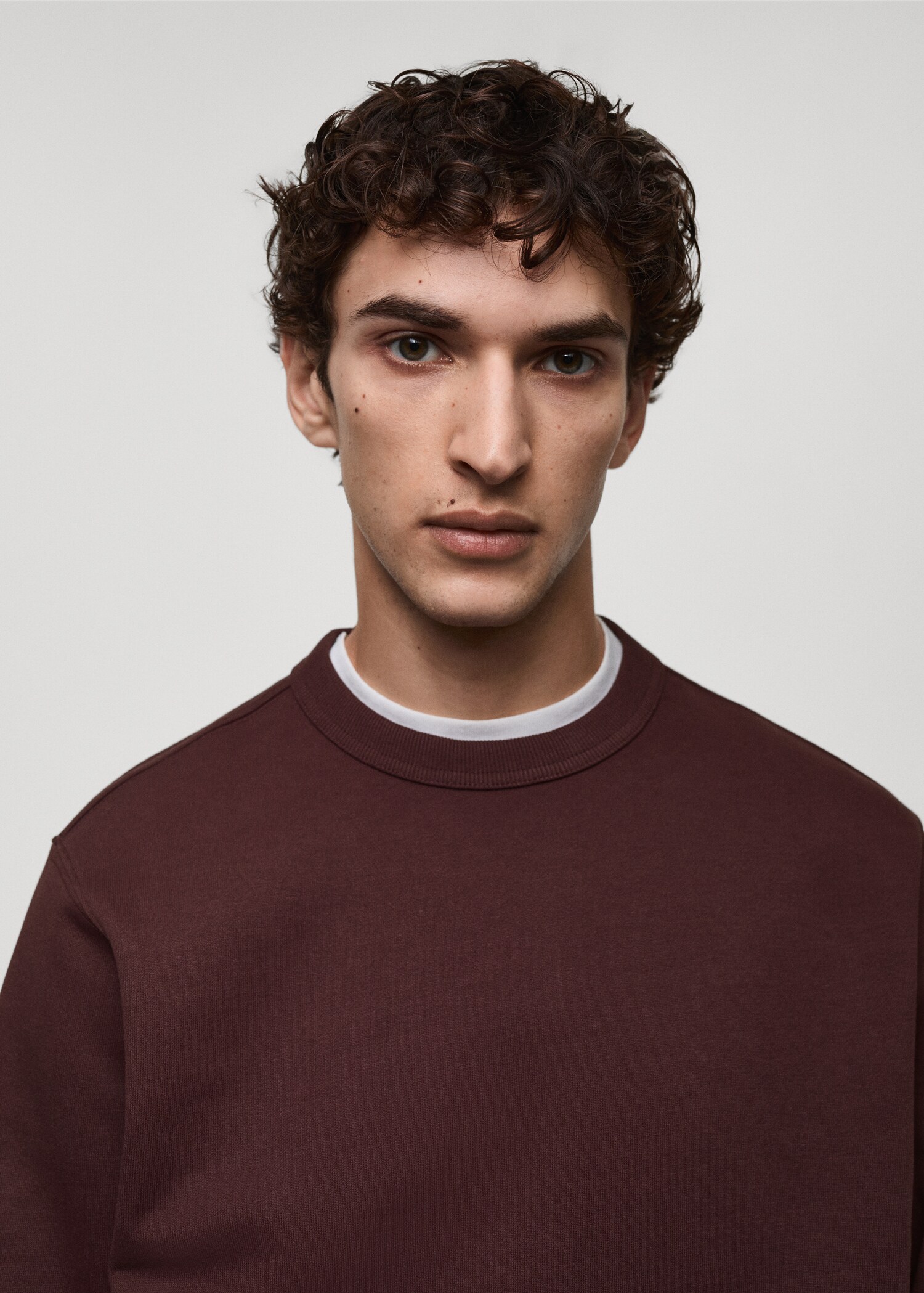 Regular-fit cotton sweatshirt - Details of the article 1