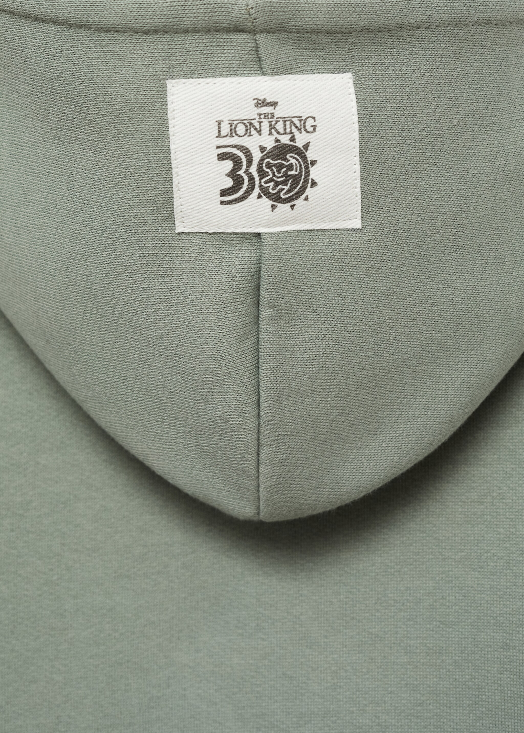 Sweat-shirt le Roi Lion - Détail de l'article 0
