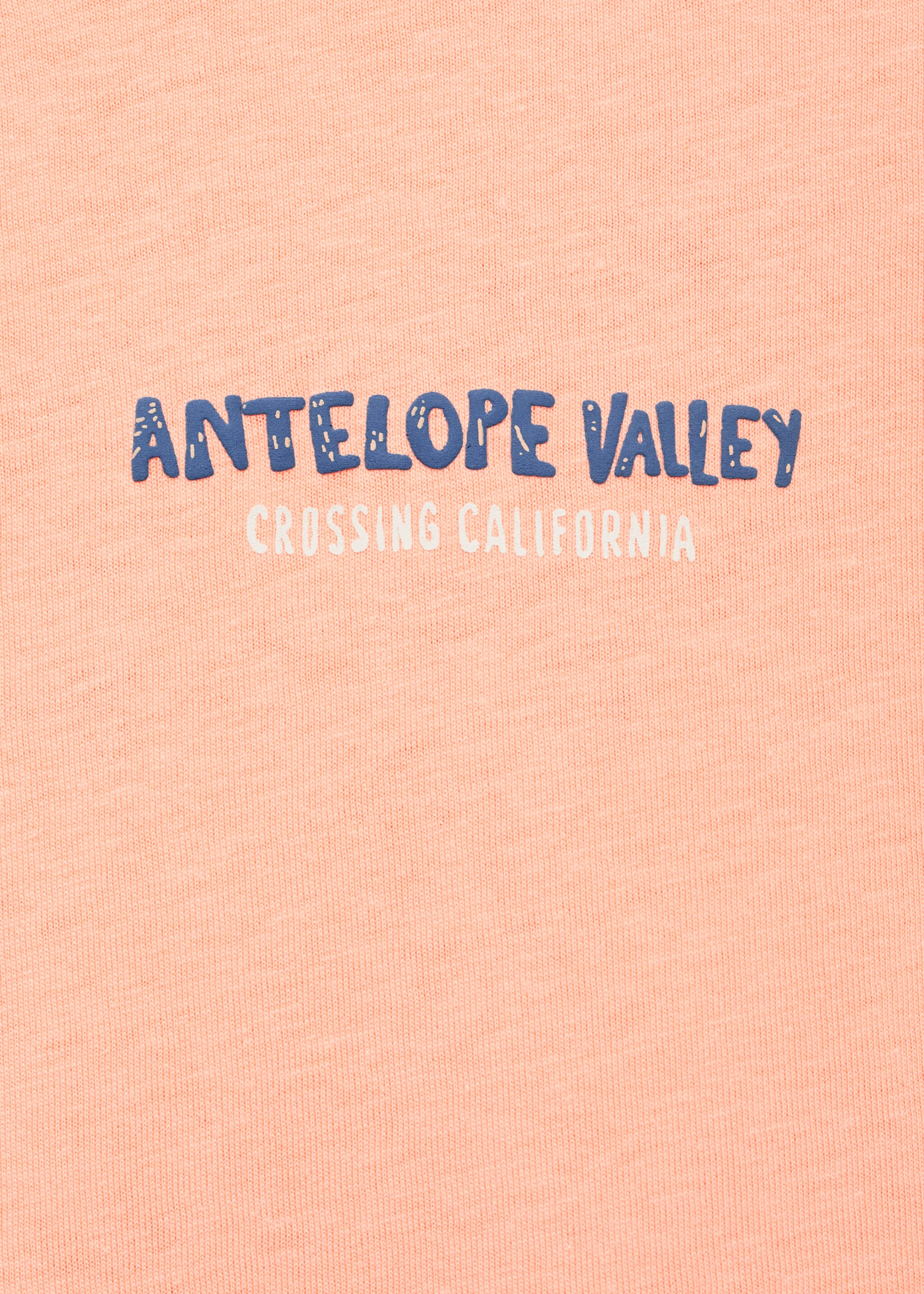 Short-sleeved printed t-shirt - Details of the article 0