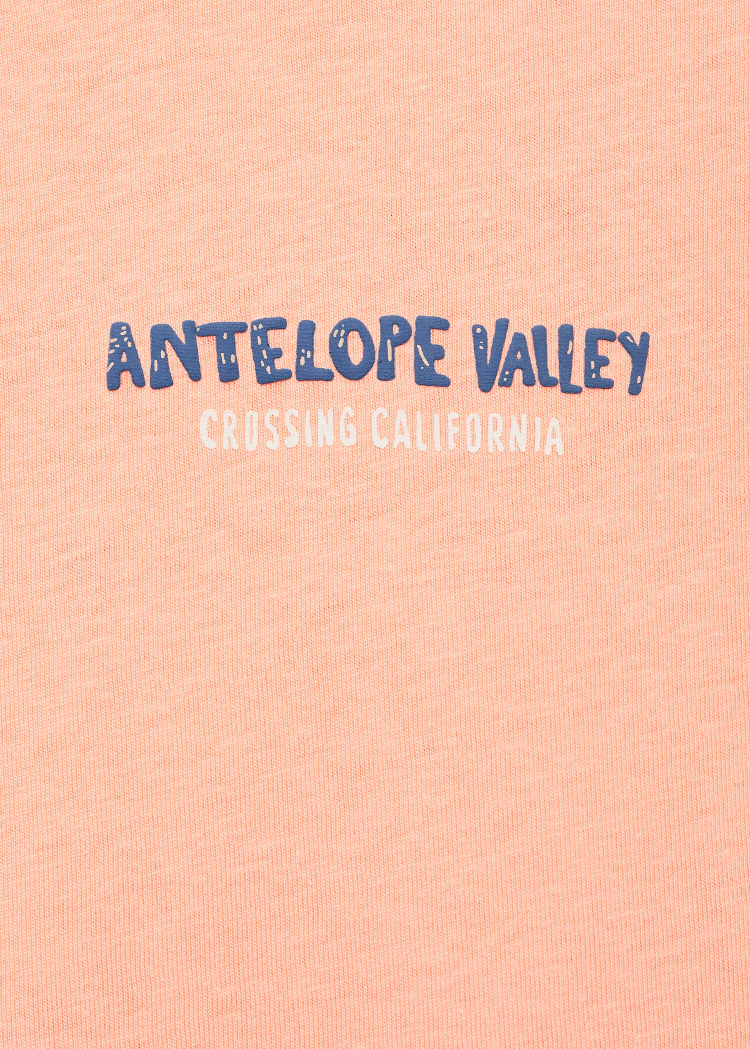 Short-sleeved printed t-shirt - Details of the article 0