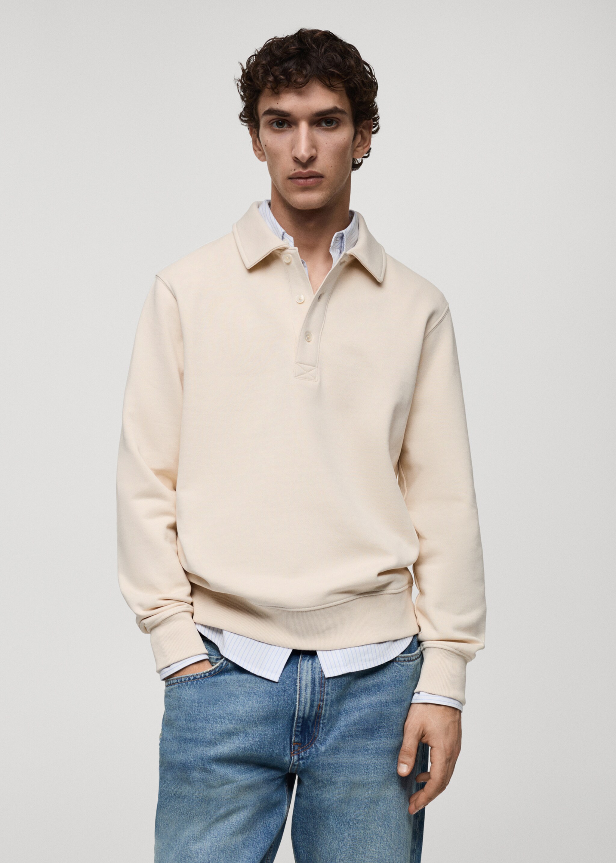 Brushed regular-fit polo sweatshirt - Medium plane