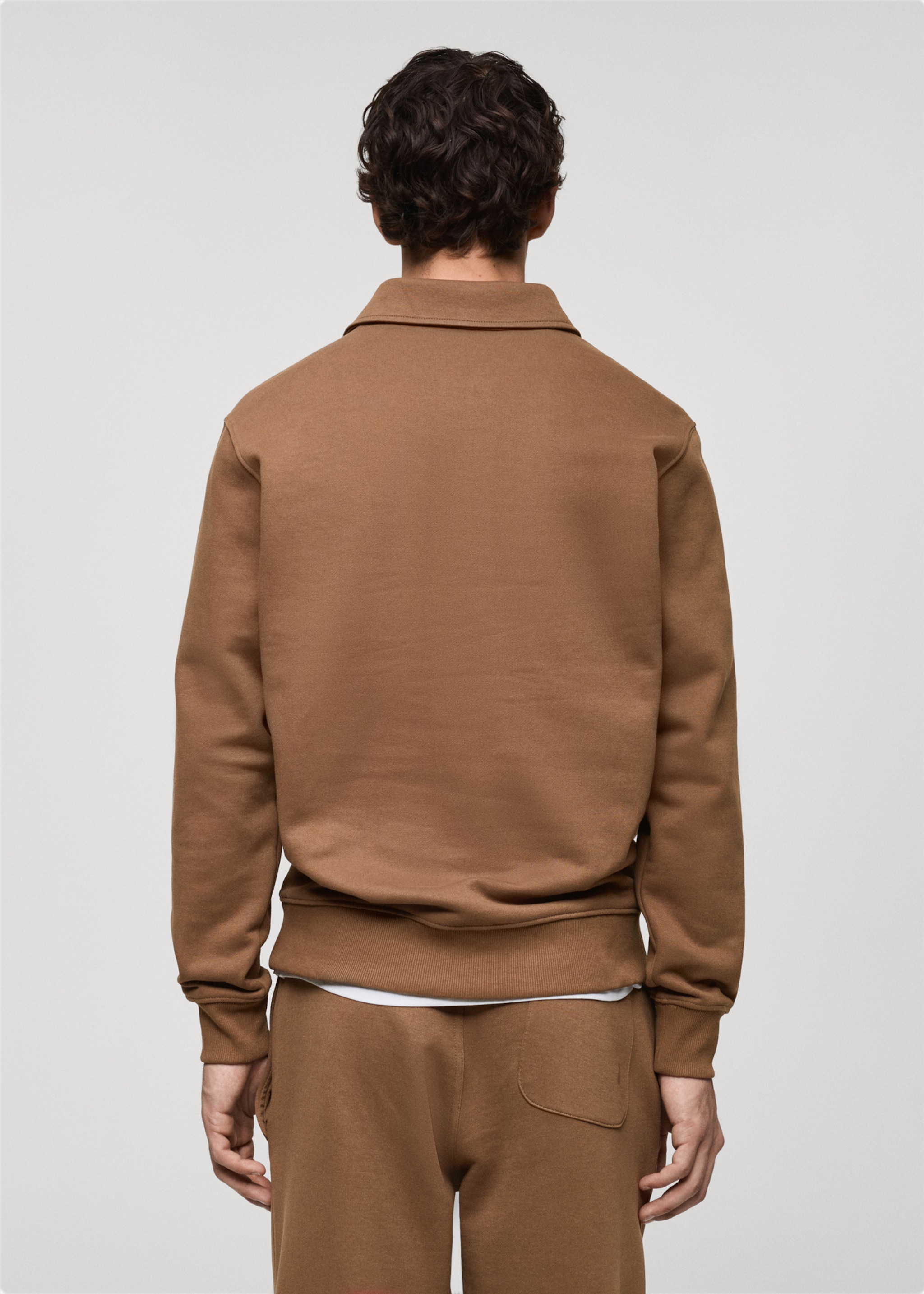 Brushed regular-fit polo sweatshirt - Reverse of the article