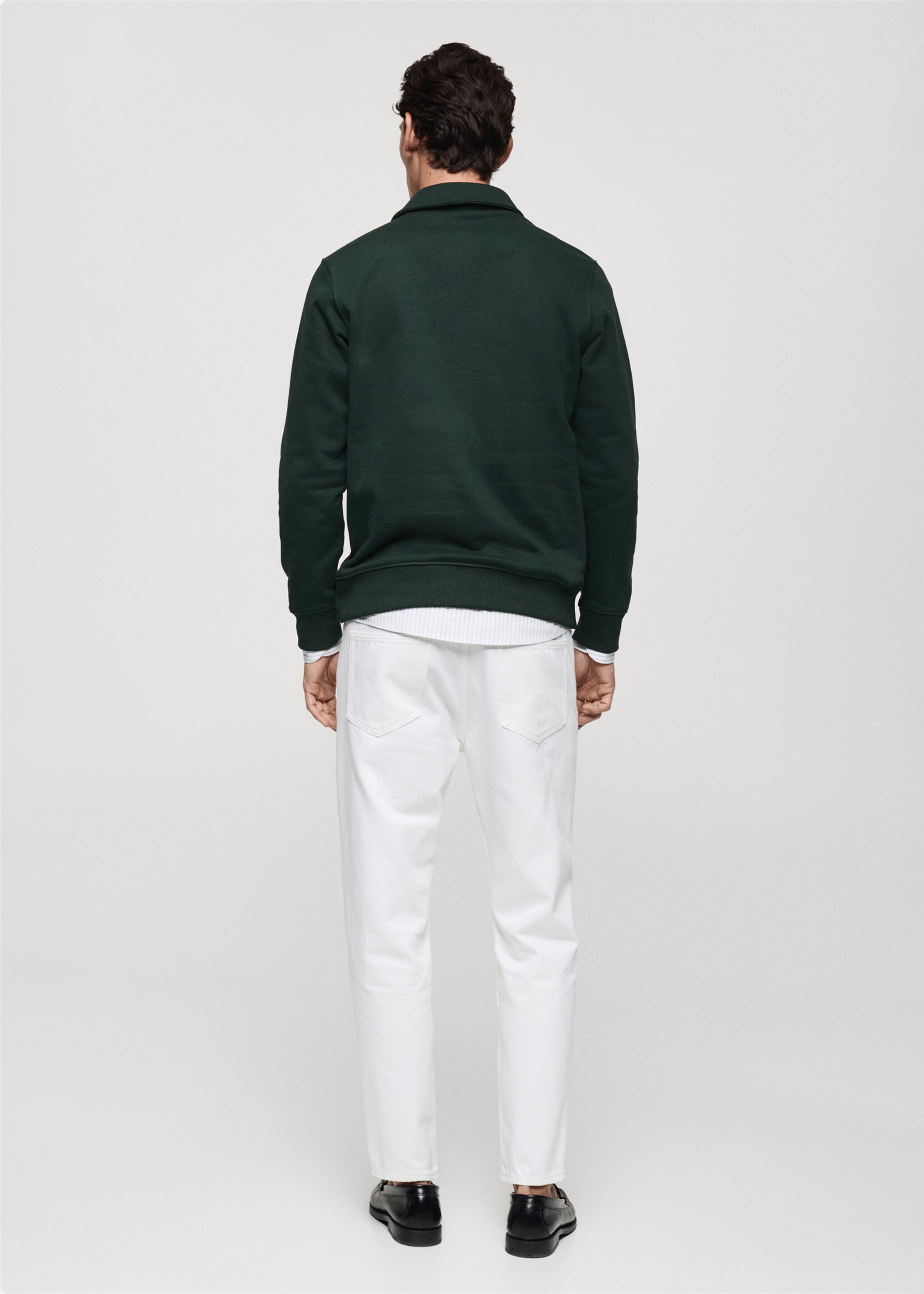 Brushed regular-fit polo sweatshirt - Reverse of the article