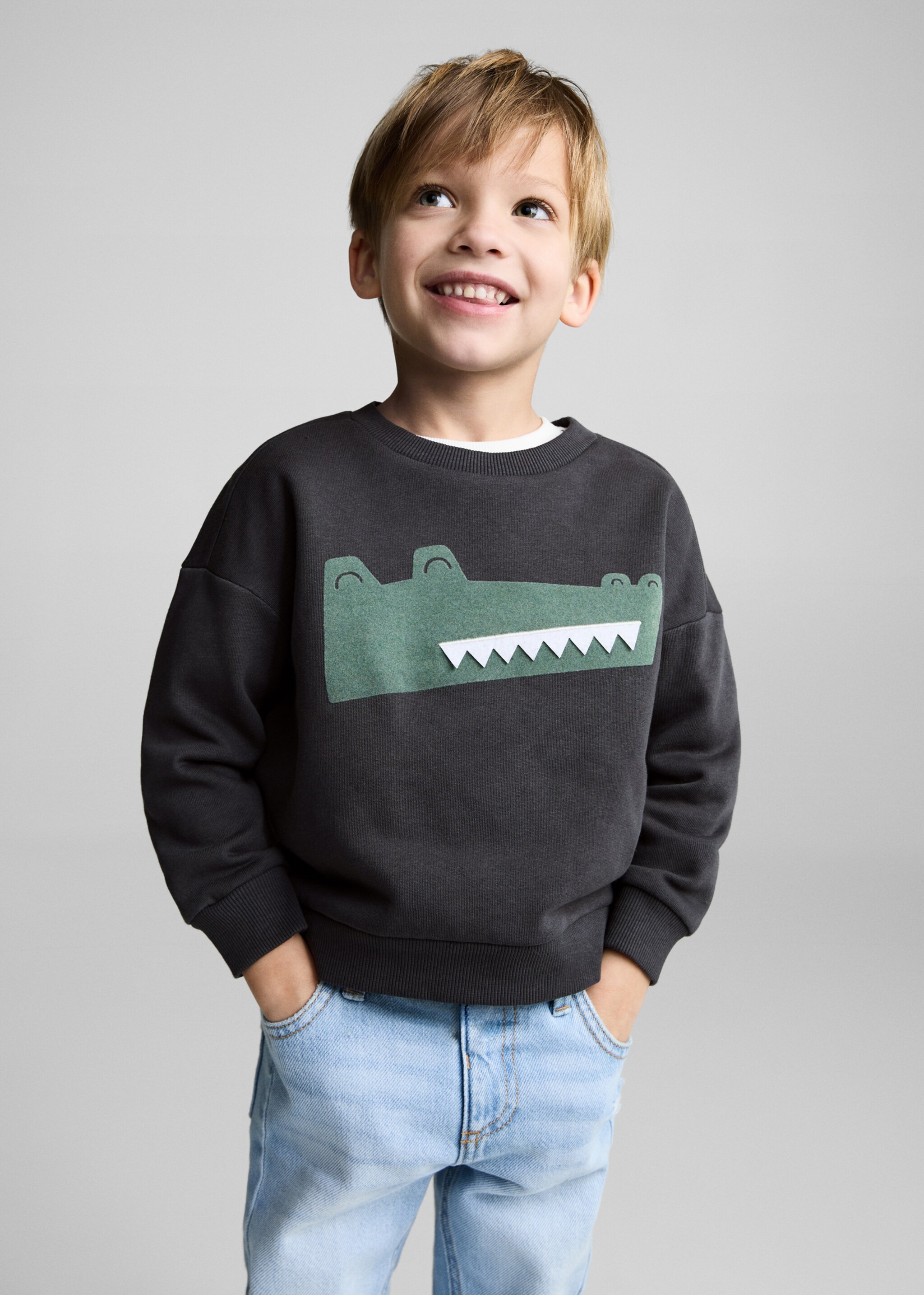 Printed picture sweatshirt - Medium plane