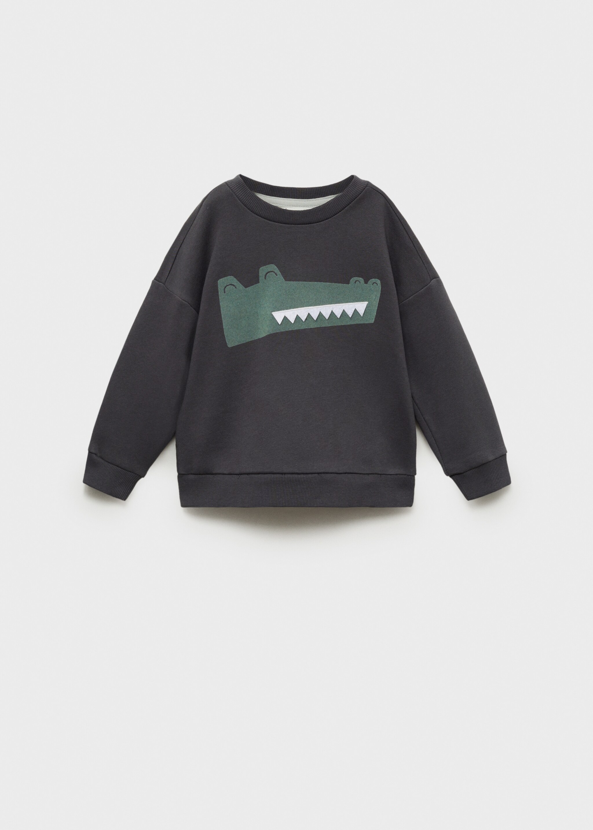Printed picture sweatshirt - Article without model