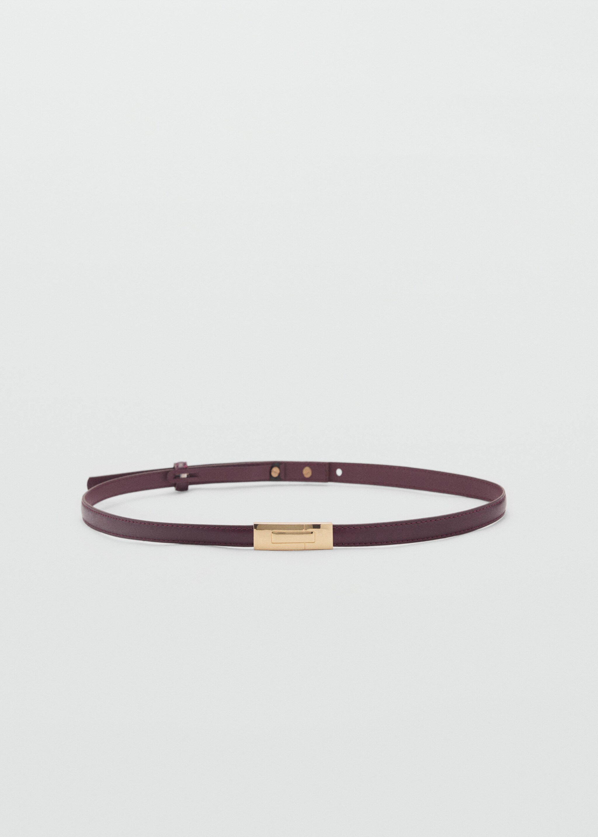 Thin belt with metal buckle - Article without model