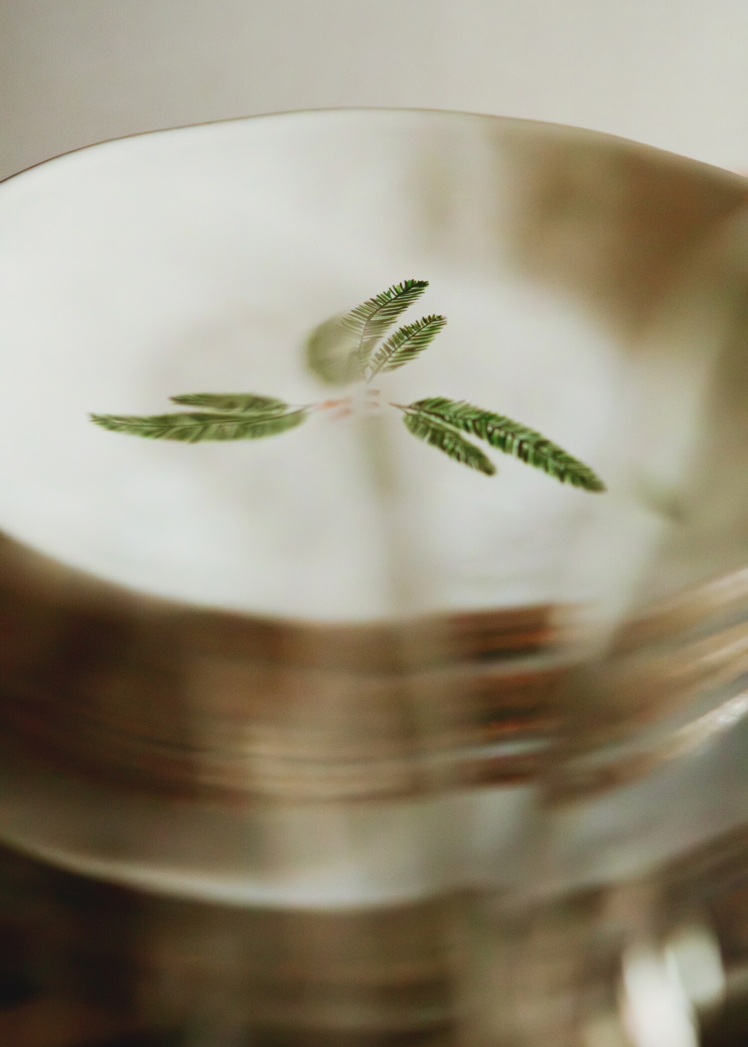 Flat stoneware plate with contrasting rim - Details of the article 6