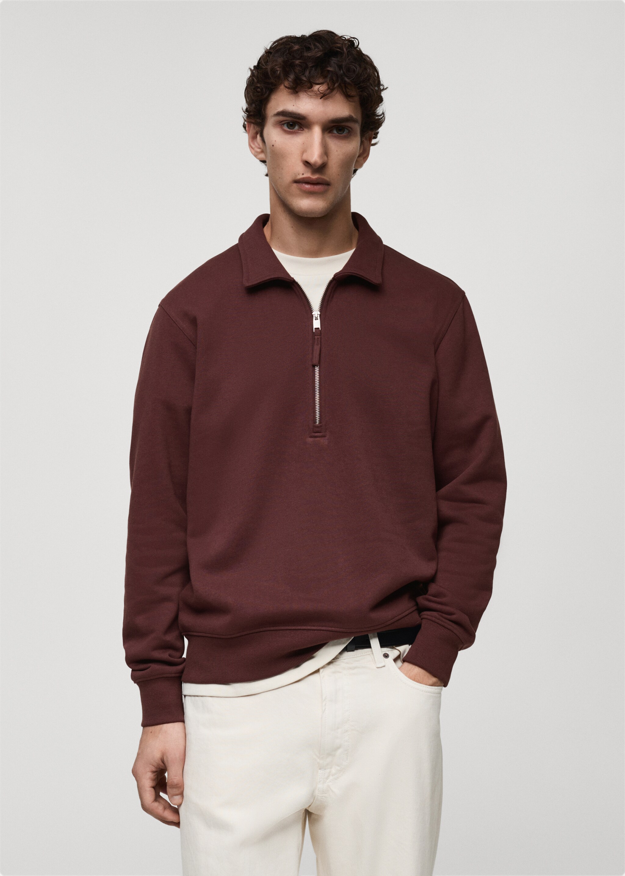 Sudadera polo algodón regular fit - Plano medio