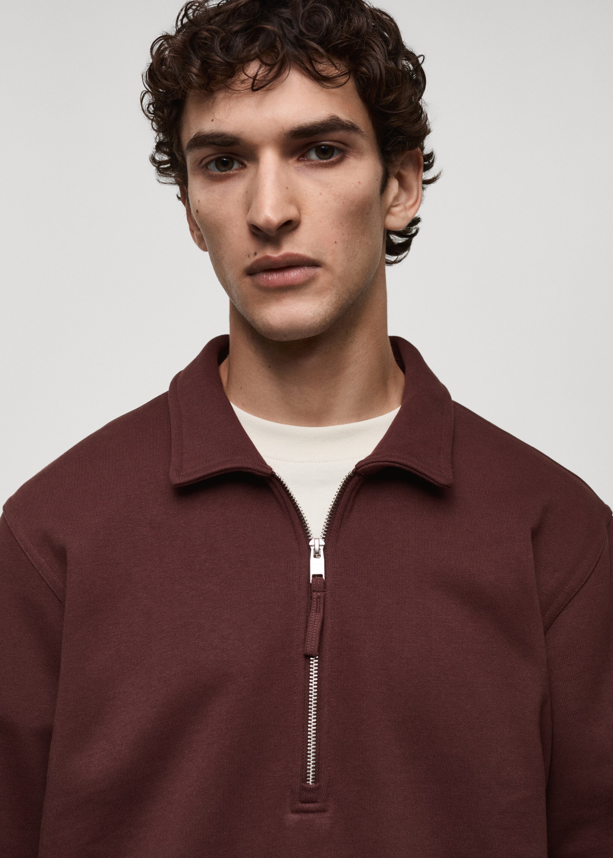 Sudadera polo algodón regular fit - Detalle del artículo 1