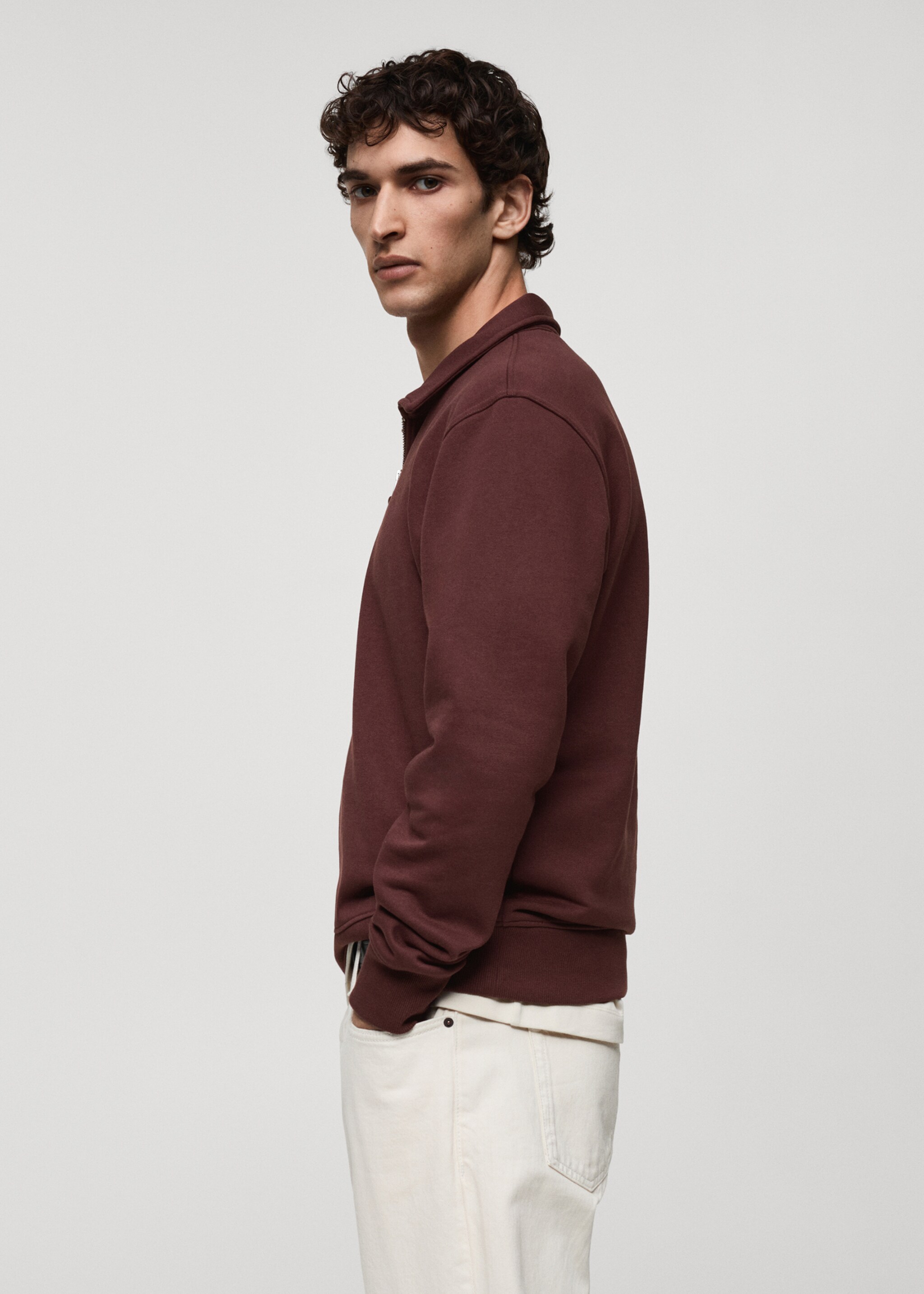 Sudadera polo algodón regular fit - Detalle del artículo 2
