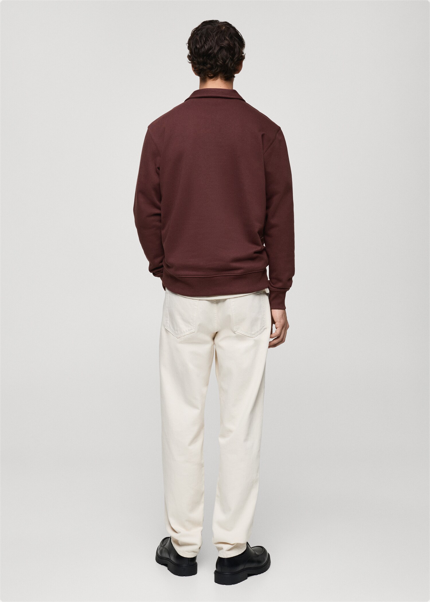 Sudadera polo algodón regular fit - Reverso del artículo