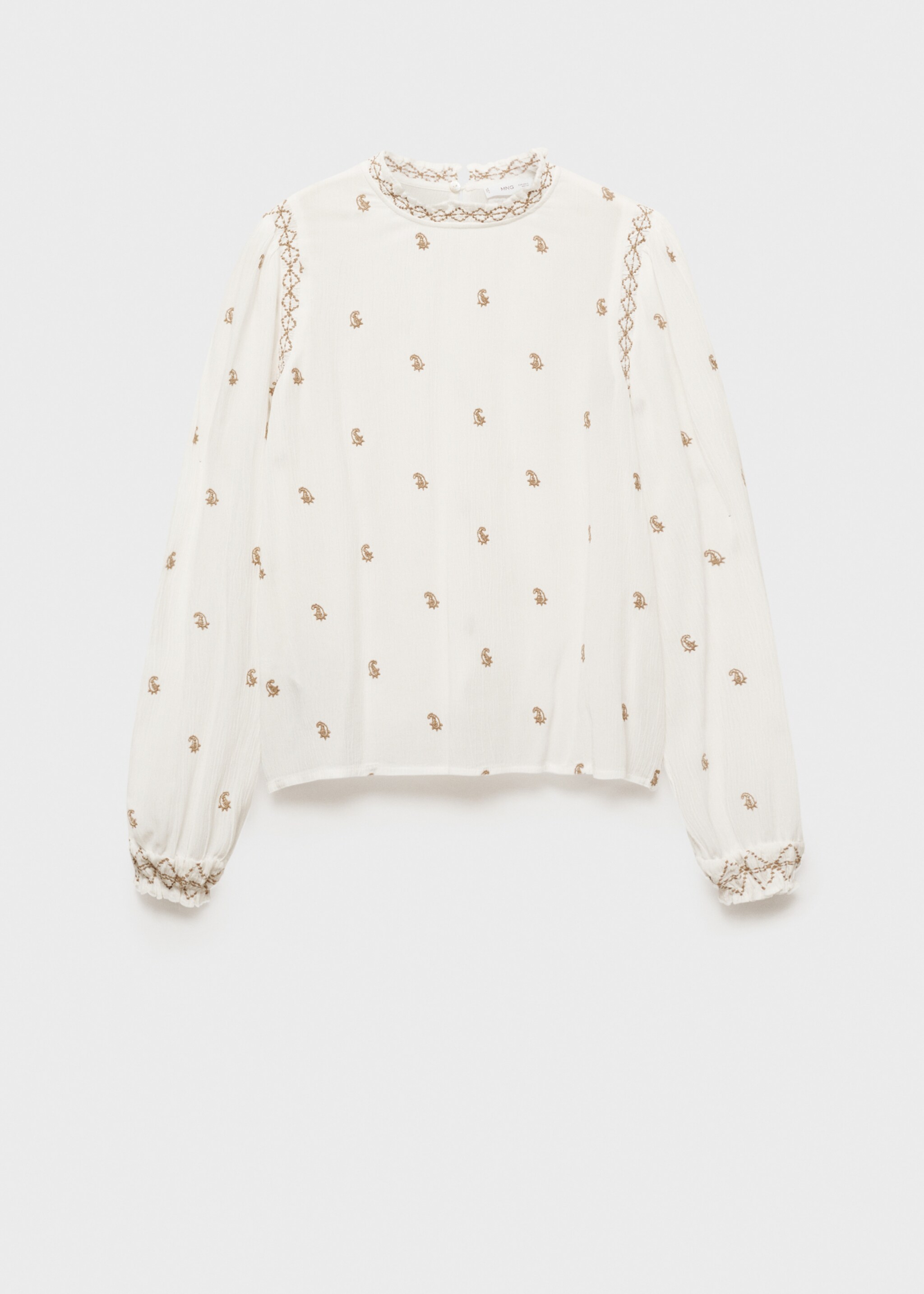 Embroidered blouse - Article without model