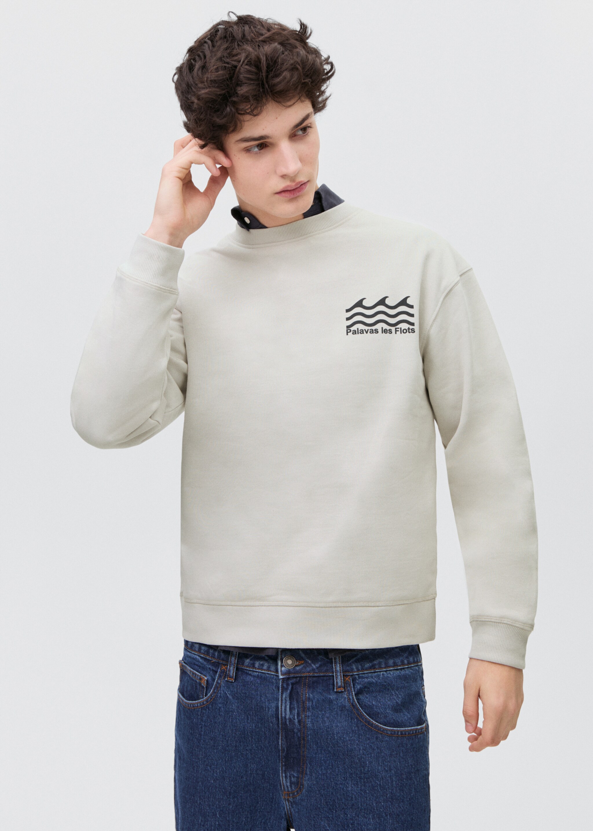 Printed cotton sweatshirt - Medium plane