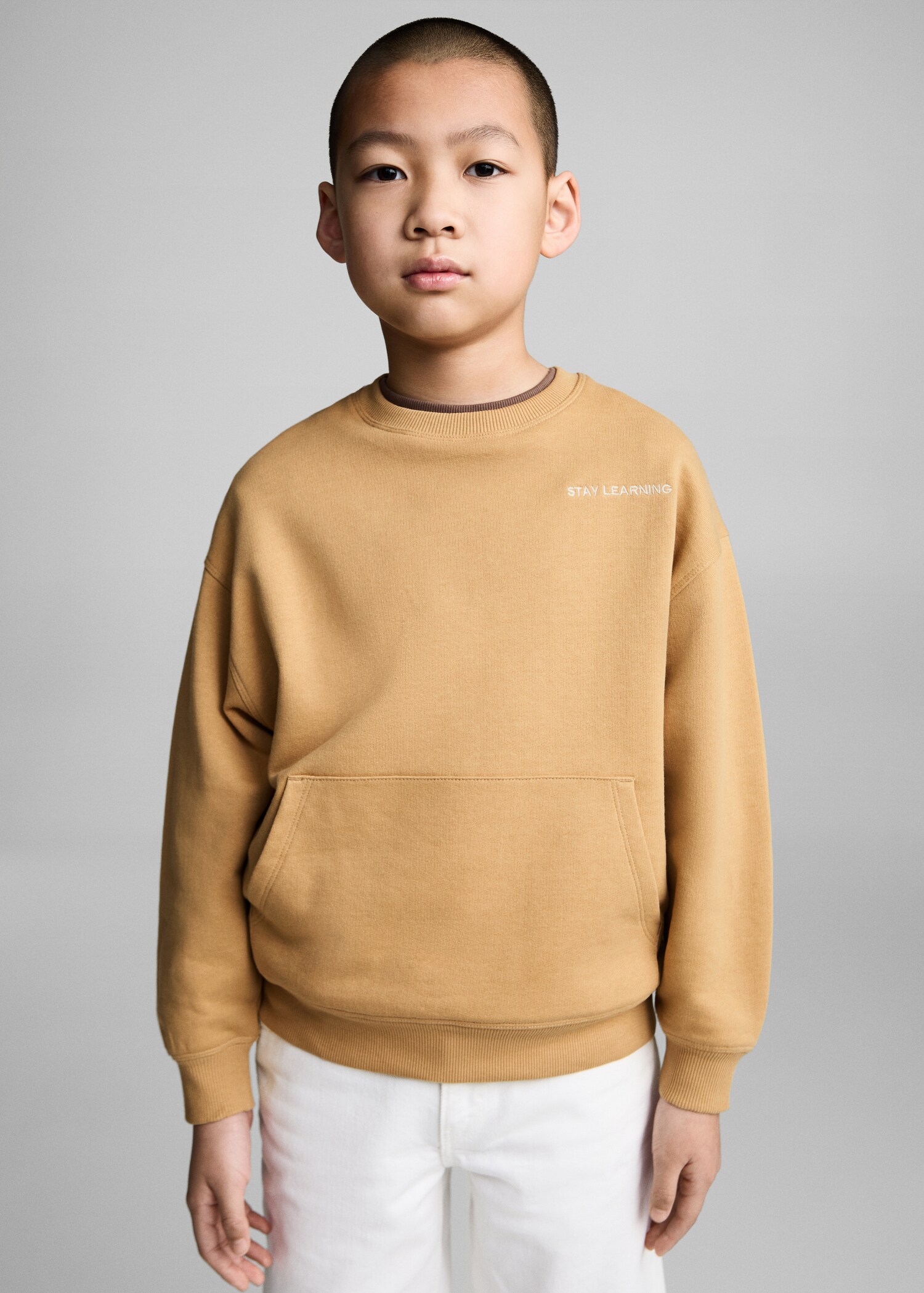 Printed picture sweatshirt - Medium plane