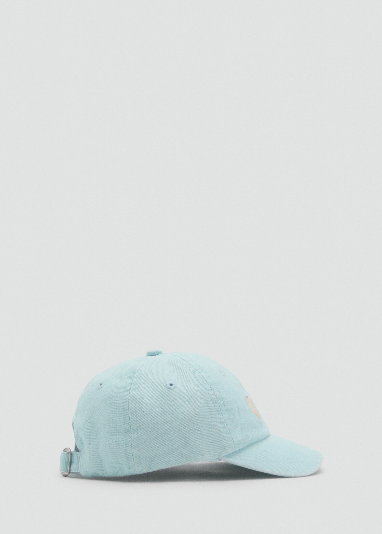 Embroidered detail cap - Article without model