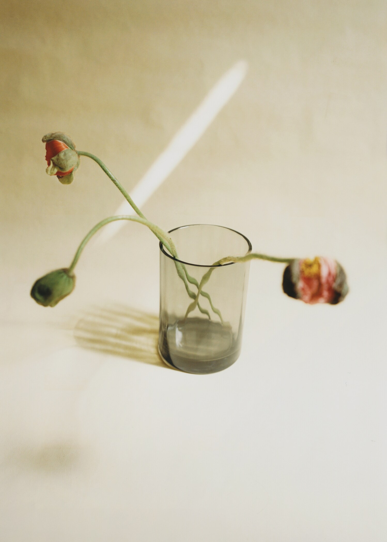 Medium hand-blown glass vase - Details of the article 6