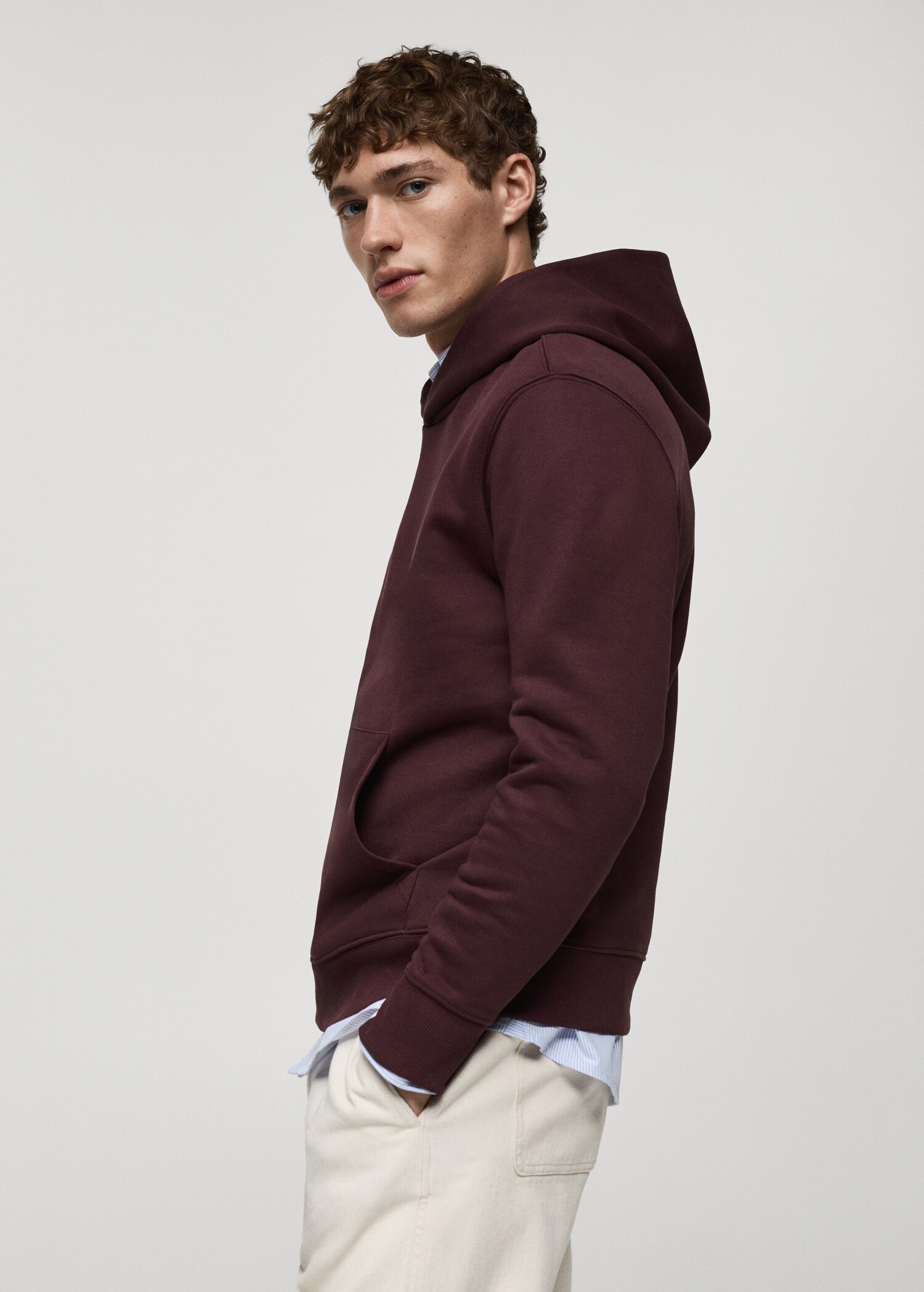 Hoodie cotton sweatshirt - Details of the article 2