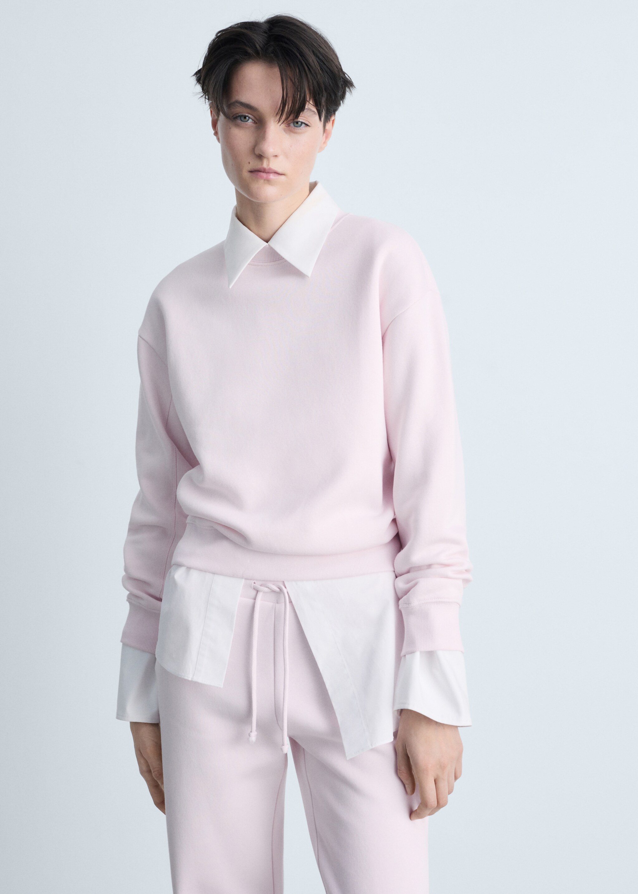 Round-neck cotton sweatshirt - Medium plane