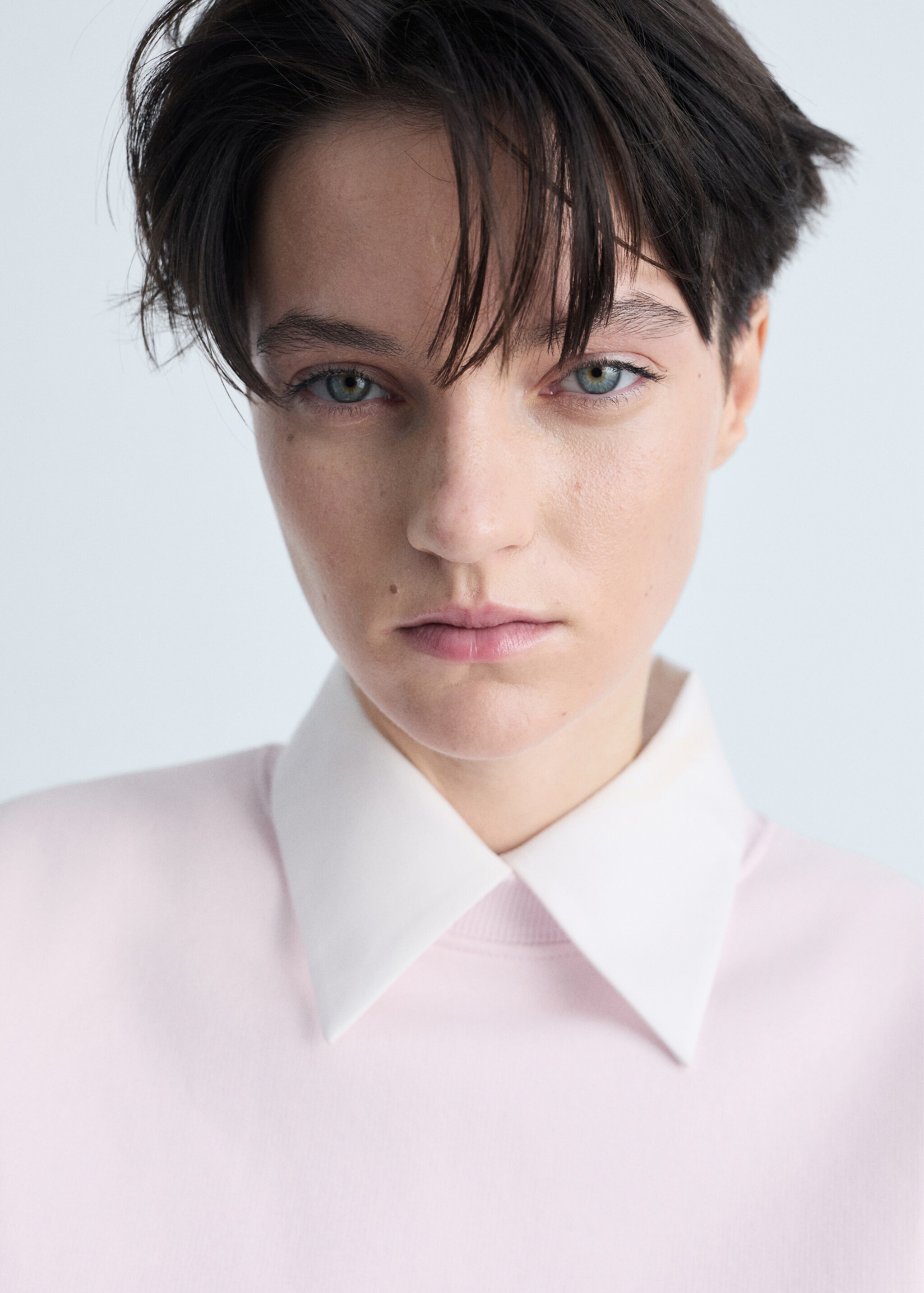 Round-neck cotton sweatshirt - Details of the article 1