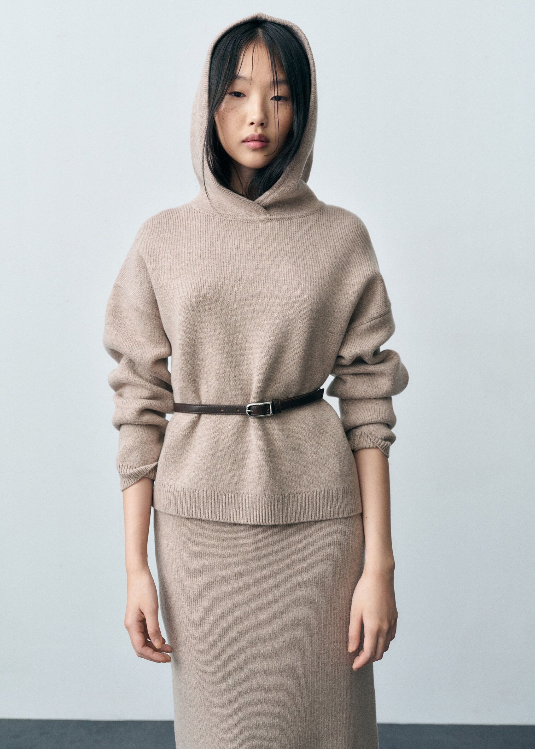 Wool-blend hooded sweater - Medium plane