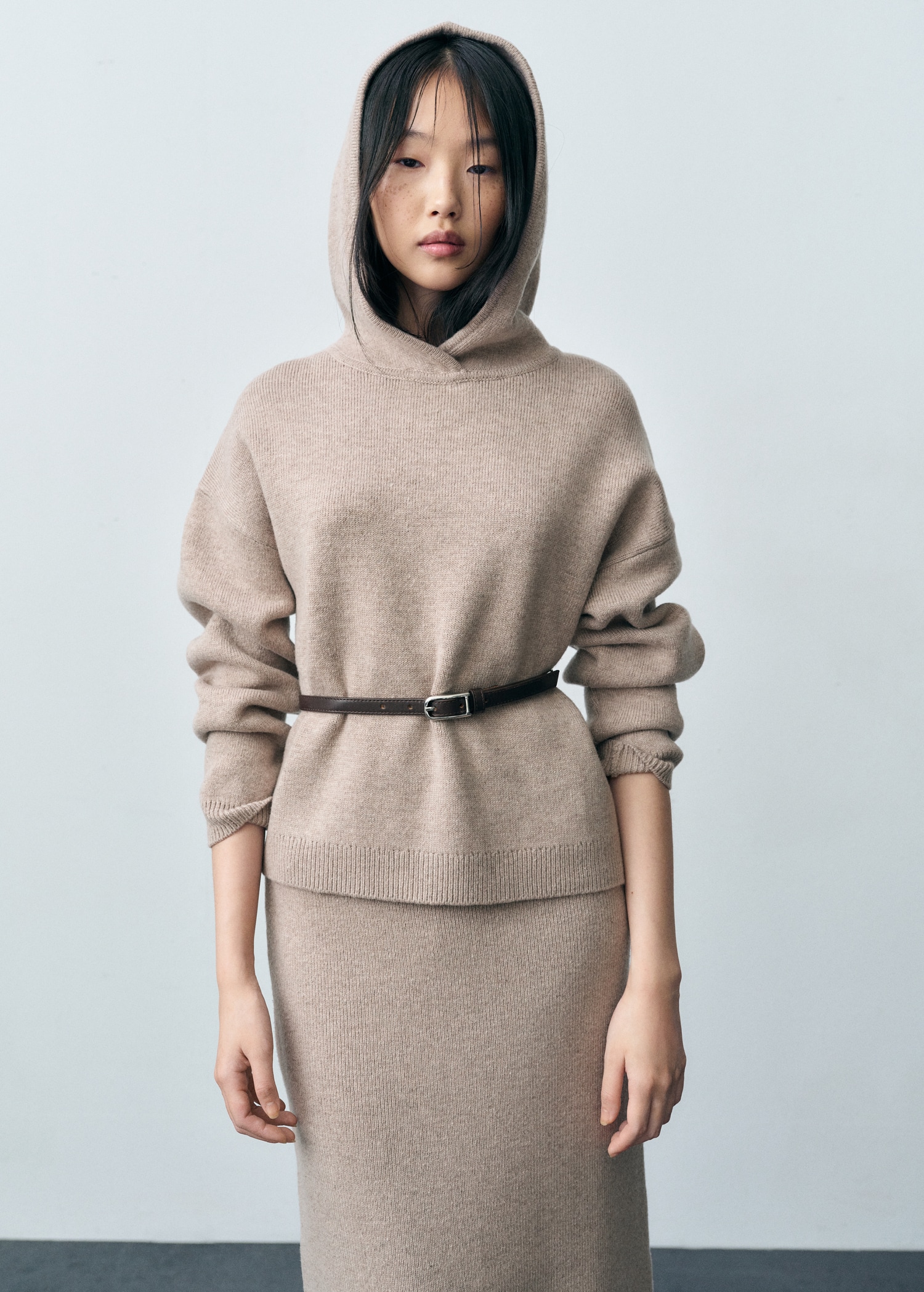 Wool-blend hooded sweater - Main Image